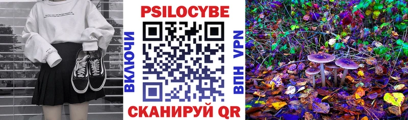 Купить где  Балабаново  Псилоцибиновые грибы прущие грибы 